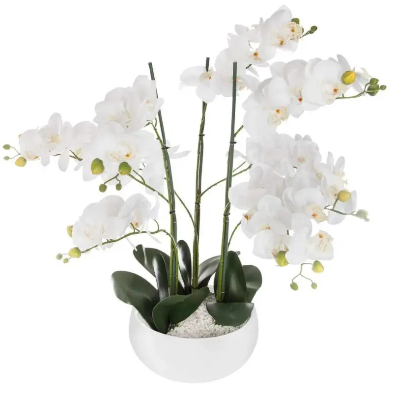 Oferta czasowa Storczyk sztuczny ORCHIDEE, 65 cm