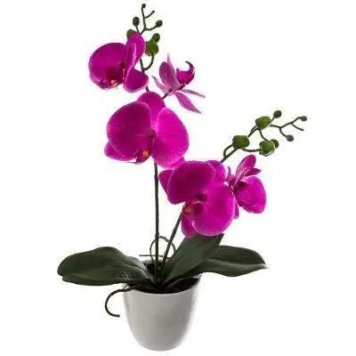 Sztuczny storczyk w doniczce Orchidea, 43 cm Do wyczerpania zapasów