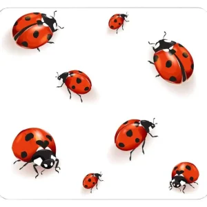 Ograniczona ilość Panel kuchenny LADYBIRDS na ścianę, ceramiczny, WENKO