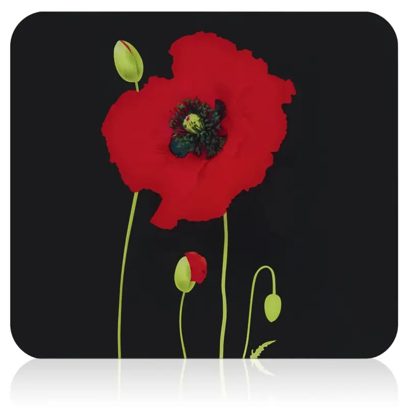 Darmowa dostawa Szklana płyta kuchenna, 56 x 50 cm, POPPY, Maximex