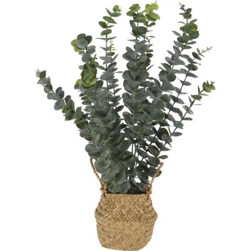 Sztuczna roślina eukaliptus w koszyku, 50 cm Do wyczerpania zapasów