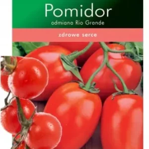 Pomidor nasiona tradycyjny mięsisty Rio Grande Promocja
