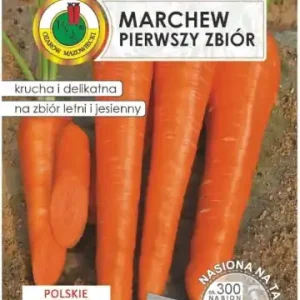 Marchew pierwszy zbiór nasiona na taśmie 6m Odmiana wczesna Darmowy zwrot