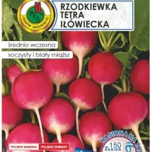 Ostatnie sztuki Rzodkiewka Tetra Iłówiecka taśma 6m Odmiana gruntowa wiosenna i jesienna