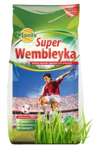 Szybka wysyłka Trawa boiskowa Super Wembleyka 5 kg Na tereny intensywnie użytkowane
