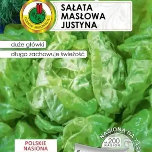 Sprawdź teraz Sałata masłowa głowiasta zielona 200 nasion na taśmie 6 m 1 szt.