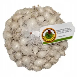 Cebula dymka White Globe biała łagodna 5-21 mm 250 g Kup online