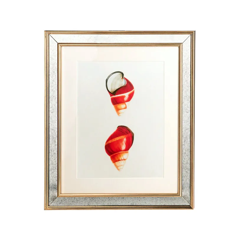 Bezpieczne zakupy GRAFIKA MUSZLE - 50 X 60 CM - BROOKSPACE LASCELLES