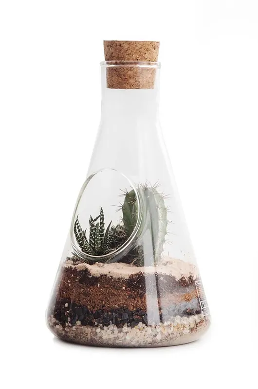 Luckies of London terrarium roślinne Do wyczerpania zapasów